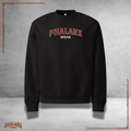 Phalanx Oversized HEAVY Pullover