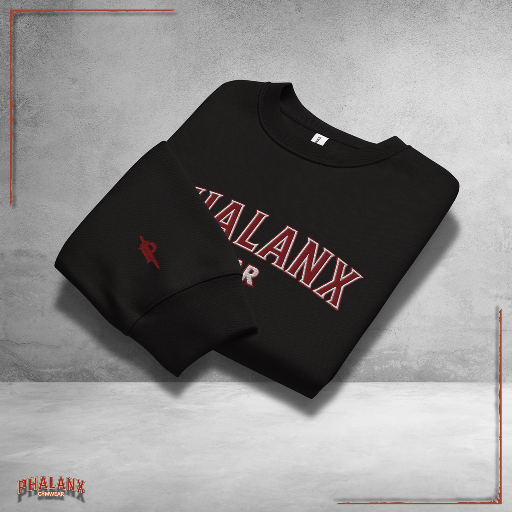 Phalanx Oversized HEAVY Pullover
