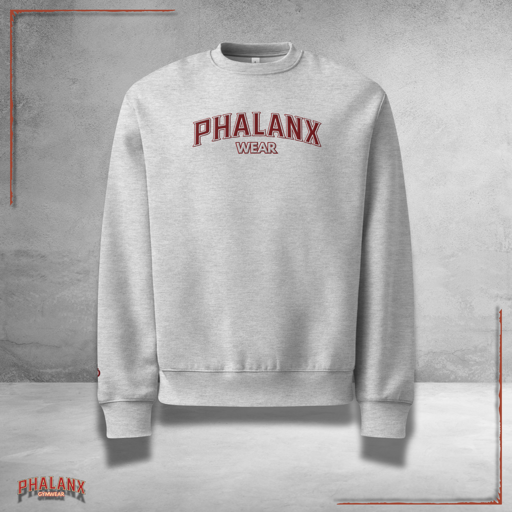 Phalanx Oversized HEAVY Pullover