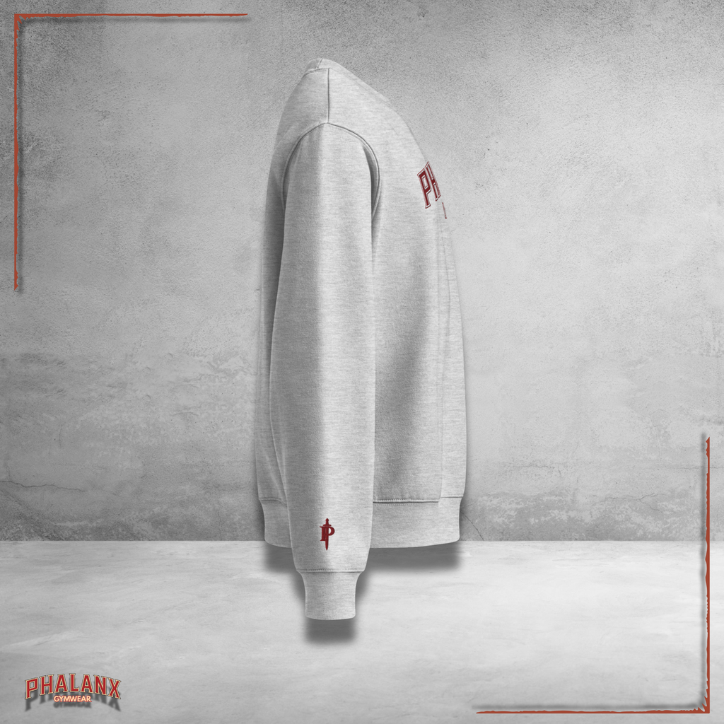 Phalanx Oversized HEAVY Pullover
